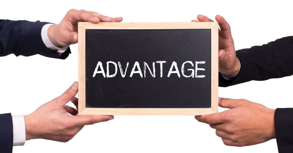 Custom Software vs Off-the-Shelf Solutions