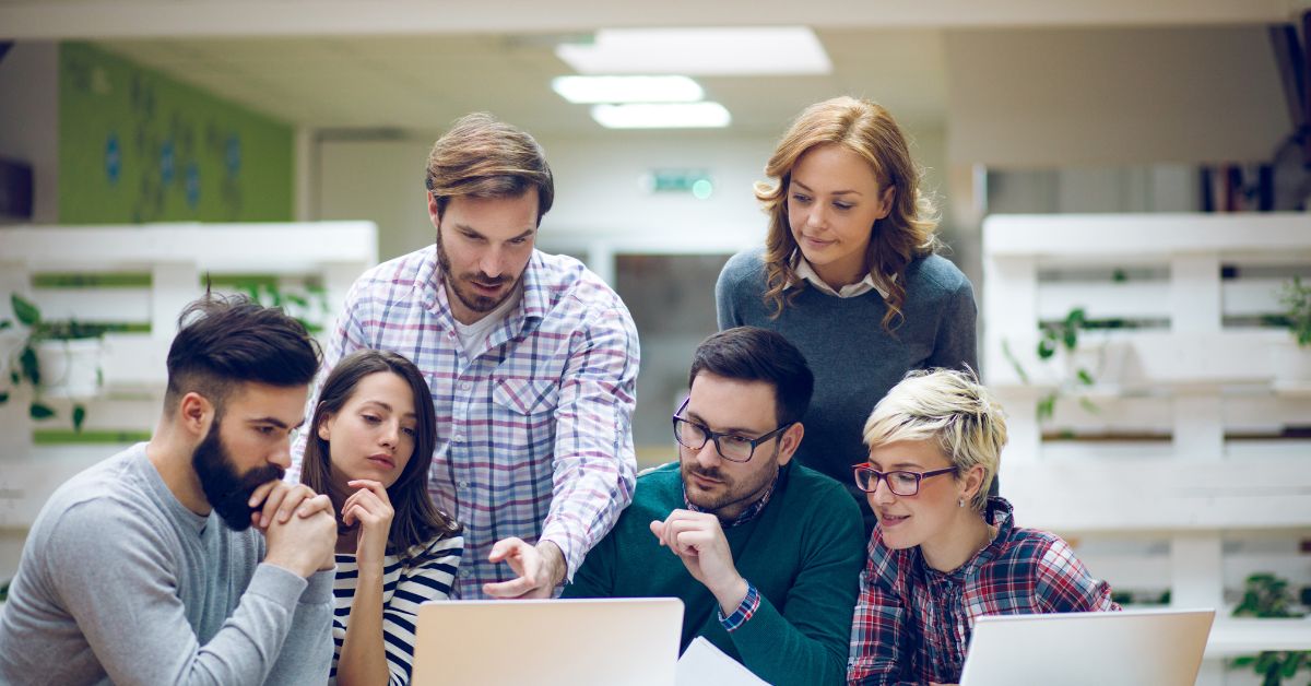 Software Development Support?